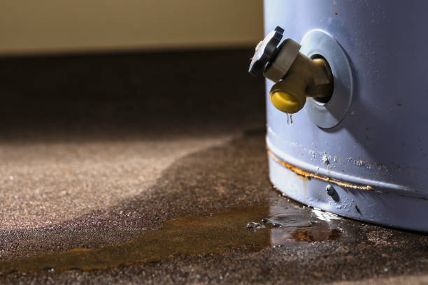 Best Basement water damage restoration  in Attica, IN