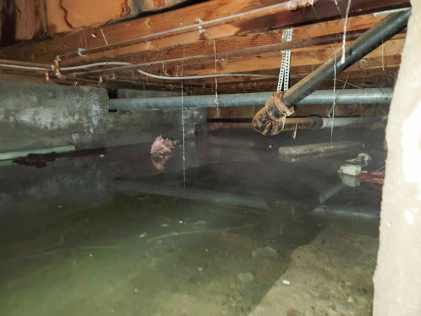 Best Ceiling water damage repair  in Attica, IN