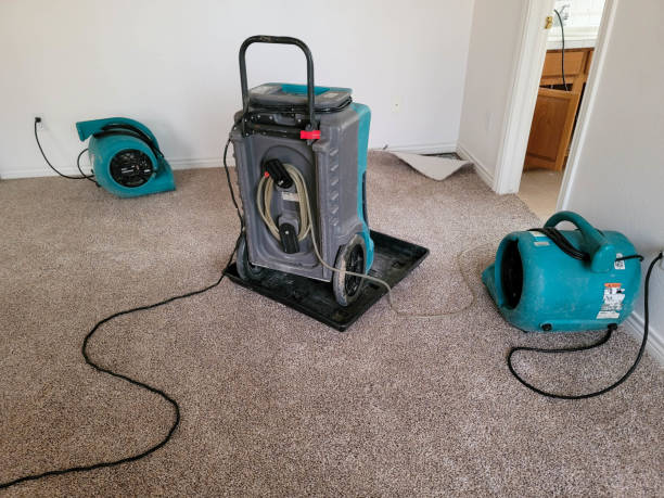 Best Flood damage cleanup  in Attica, IN