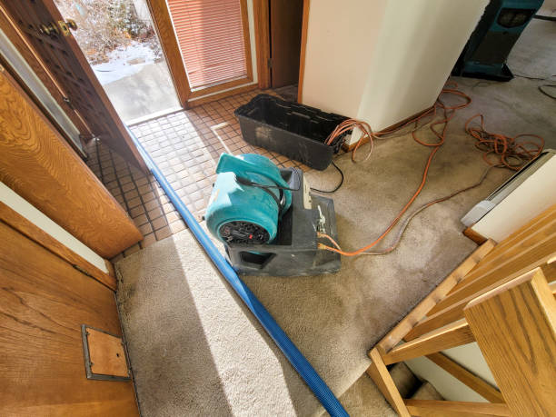 Best Commercial water damage restoration  in Attica, IN