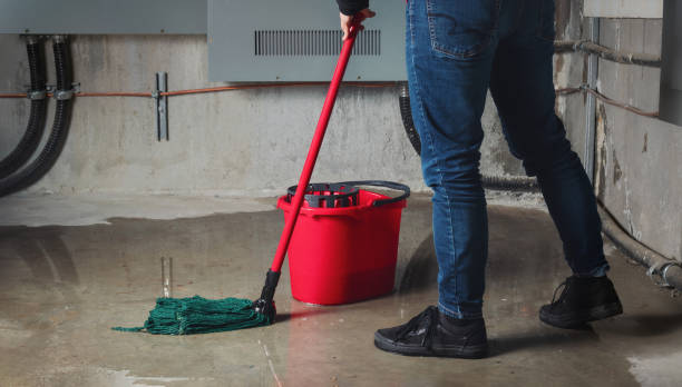 Best Carpet water damage restoration  in Attica, IN
