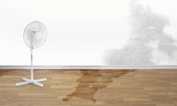 Best Fire Damage Restoration  in Attica, IN