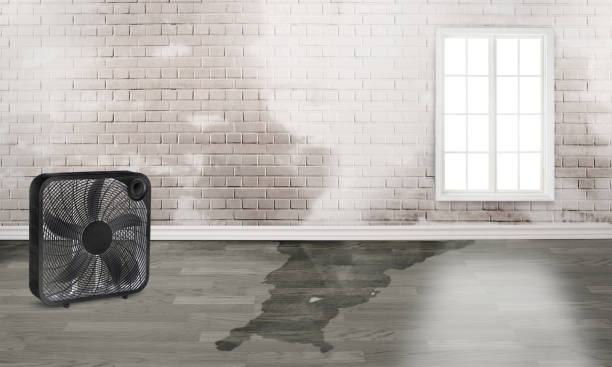 Best Residential water damage restoration  in Attica, IN