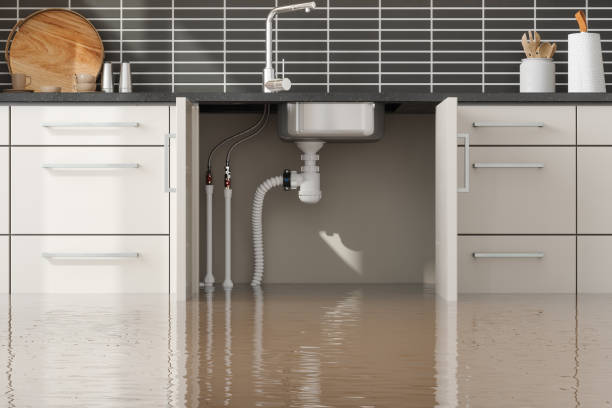 Best Water damage restoration near me  in Attica, IN