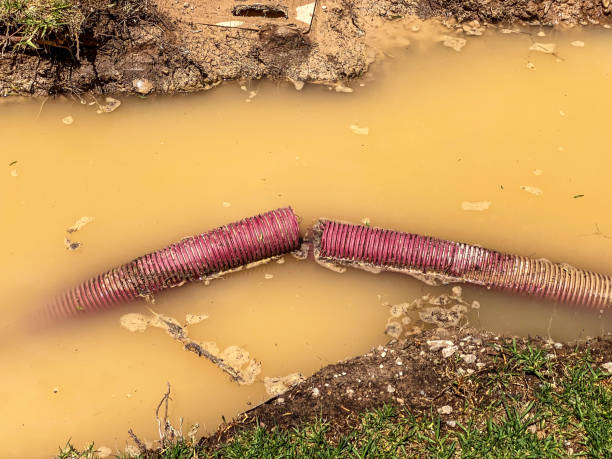 Best Water damage cleanup near me  in Attica, IN