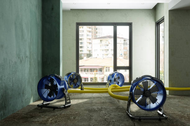 Best Water damage restoration near me  in Attica, IN