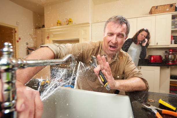 Best Professional water damage repair  in Attica, IN